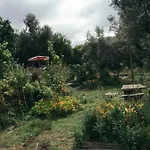 Breakfast Under A Tree - And *