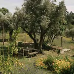 Breakfast Under A Tree - And شقة *