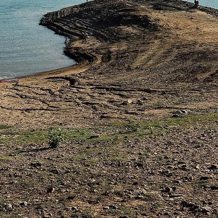 Breakfast Under A Tree - And *
