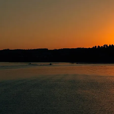 Breakfast Under A Tree - And Tomar