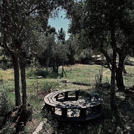 Breakfast Under A Tree - And