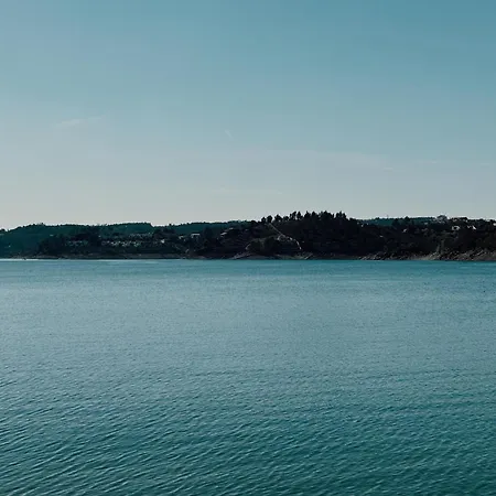 Apartment Breakfast Under A Tree - And