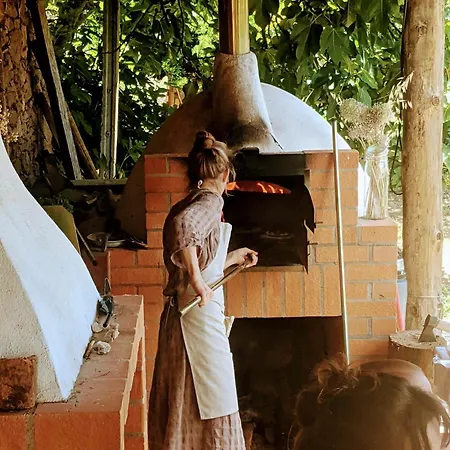 Lejlighed Breakfast Under A Tree - And *