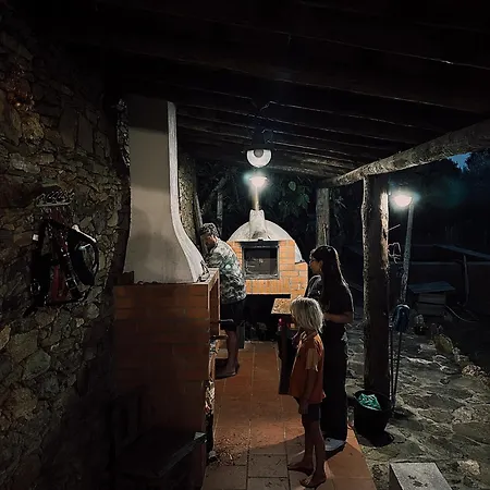 Breakfast Under A Tree - And Tomar