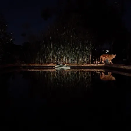 Breakfast Under A Tree - And Lejlighed