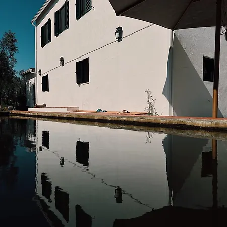 Apartment Breakfast Under A Tree - And Tomar