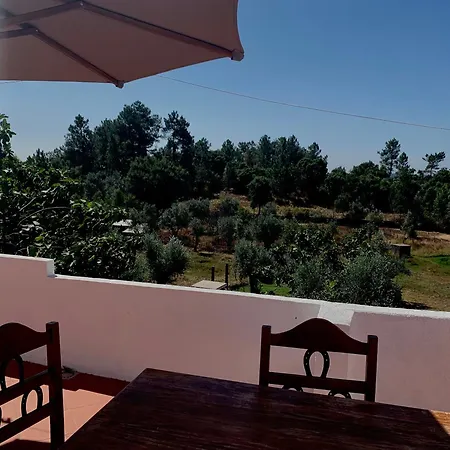 Breakfast Under A Tree - And