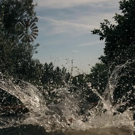 Lejlighed Breakfast Under A Tree - And Tomar