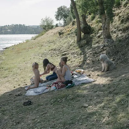 Breakfast Under A Tree - And Tomar