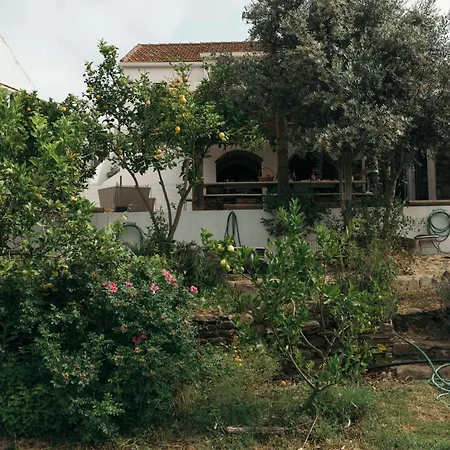 Breakfast Under A Tree - And Tomar