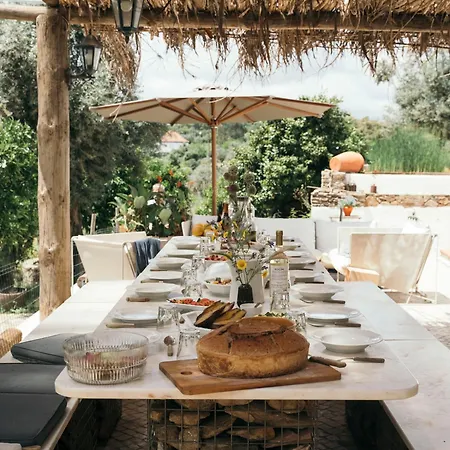 Breakfast Under A Tree - And * Tomar