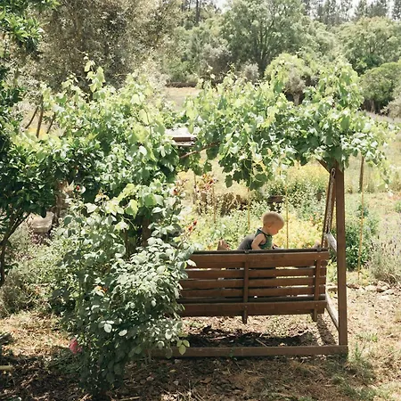 Lejlighed Breakfast Under A Tree - And