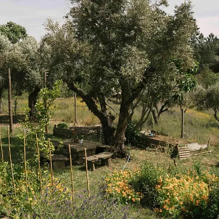 Breakfast Under A Tree - And Lejlighed *
