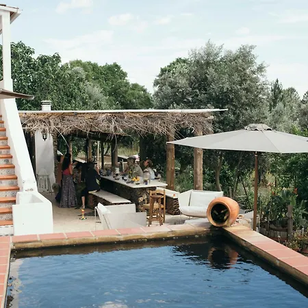 Apartment Breakfast Under A Tree - And *