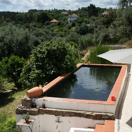 Breakfast Under A Tree - And Apartment Tomar