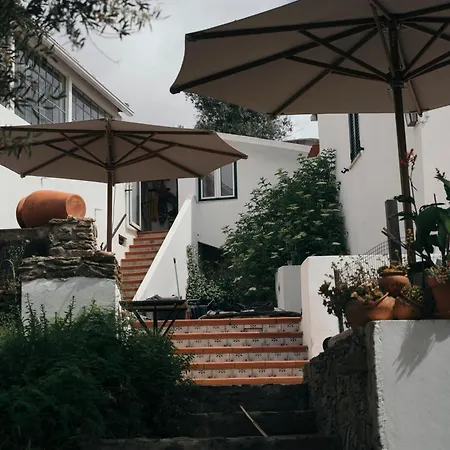 Breakfast Under A Tree - And *