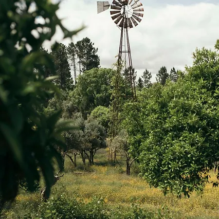 Breakfast Under A Tree - And Tomar
