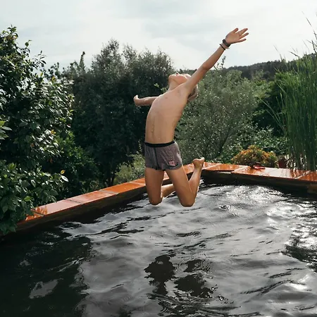 Breakfast Under A Tree - And * Tomar