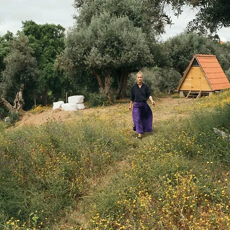 Breakfast Under A Tree - And Lejlighed