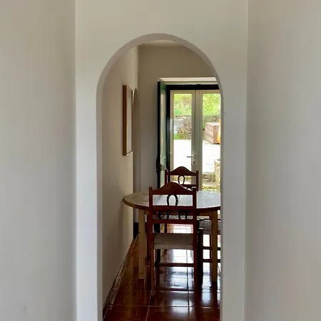 Breakfast Under A Tree - And