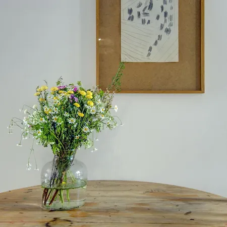 Breakfast Under A Tree - And *