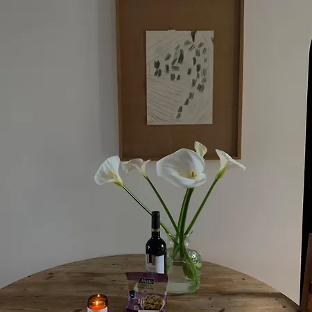 Breakfast Under A Tree - And * Tomar