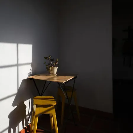 Breakfast Under A Tree - And