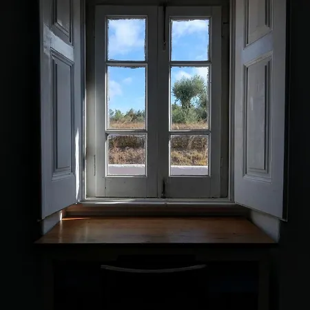 Breakfast Under A Tree - And