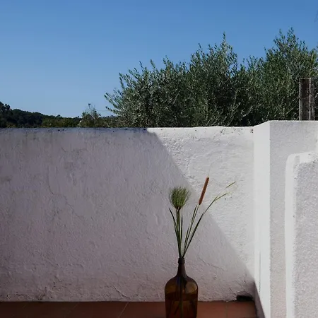 Breakfast Under A Tree - And