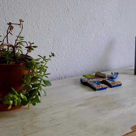 Breakfast Under A Tree - And