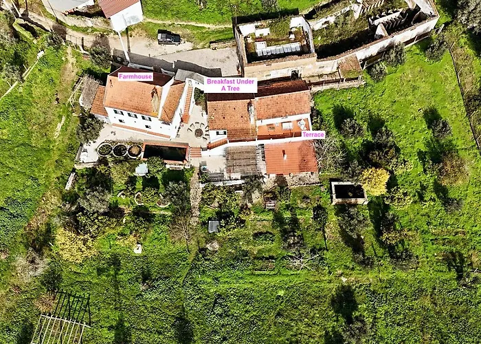 Διαμέρισμα Breakfast Under A Tree - And Tomar