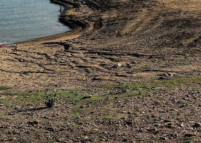 Breakfast Under A Tree - And *
