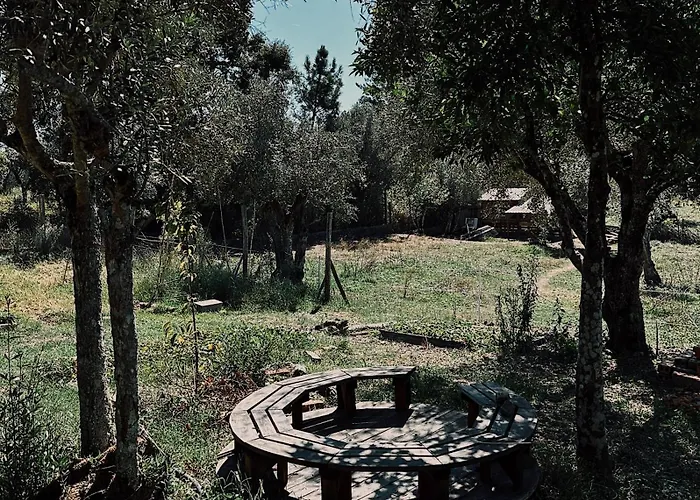 Breakfast Under A Tree - And