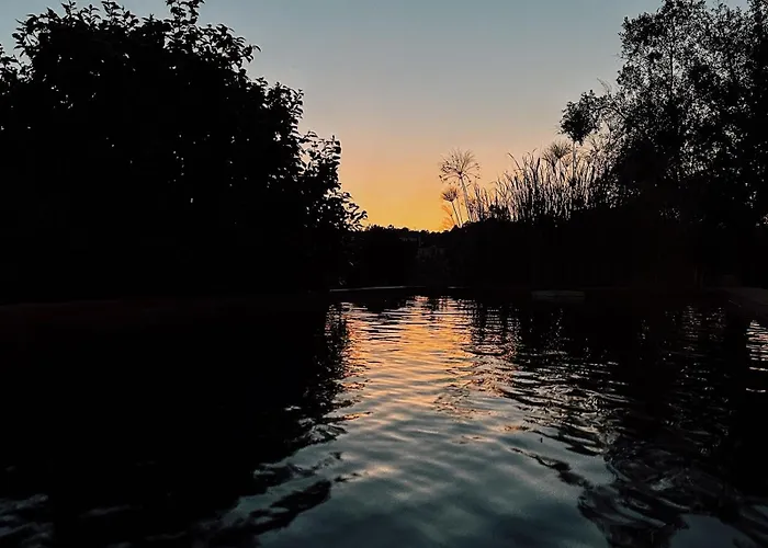 Breakfast Under A Tree - And Διαμέρισμα *