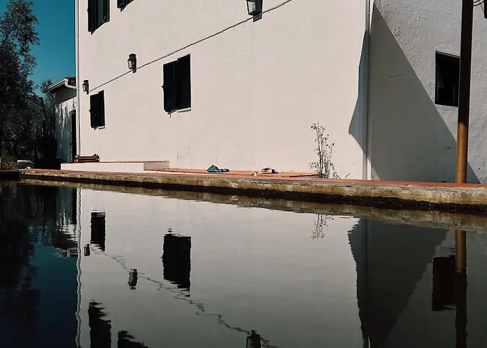 Διαμέρισμα Breakfast Under A Tree - And Tomar