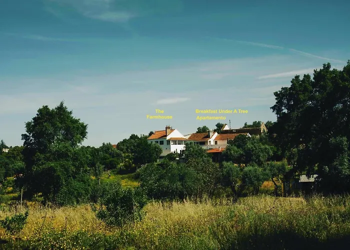 Breakfast Under A Tree - And *