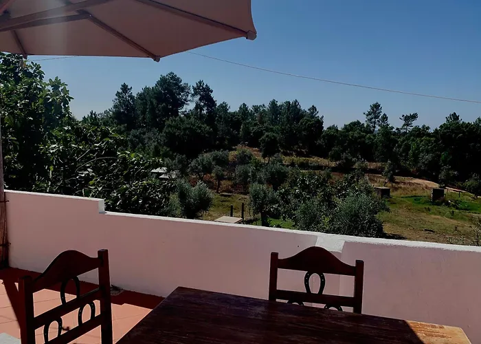 Breakfast Under A Tree - And