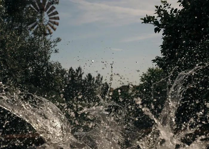 Διαμέρισμα Breakfast Under A Tree - And Tomar