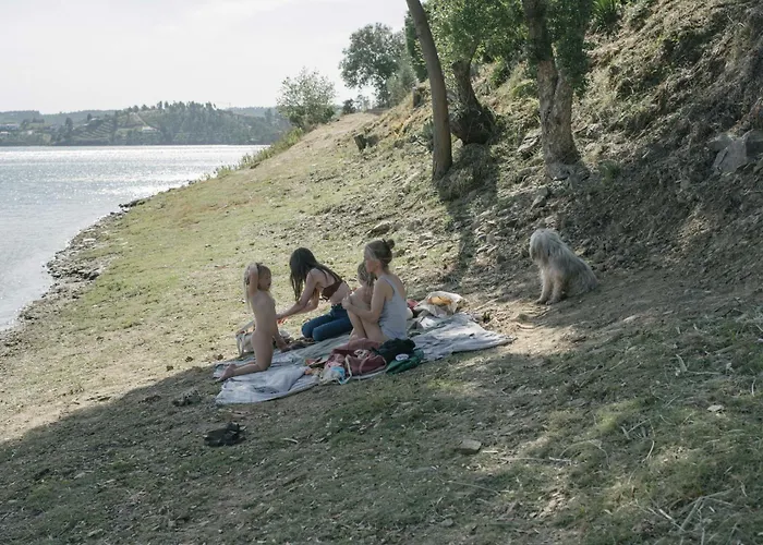 Breakfast Under A Tree - And Tomar
