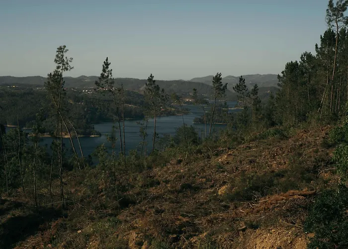 Breakfast Under A Tree - And Apartamento *