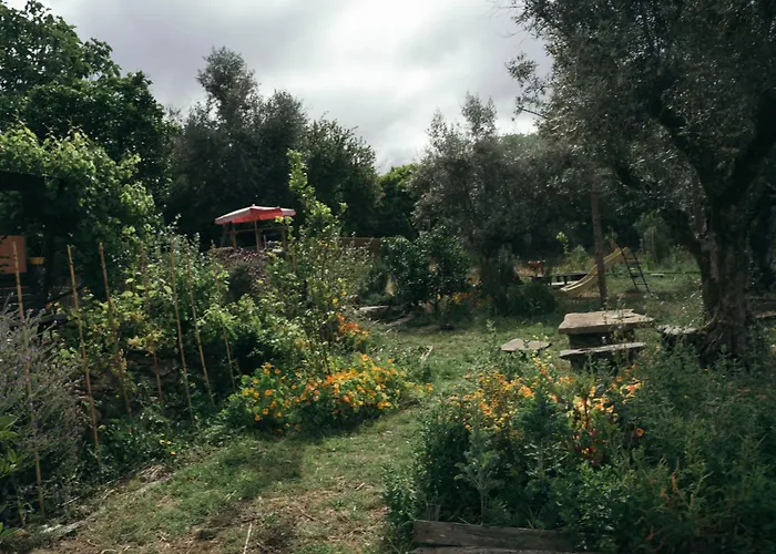 Breakfast Under A Tree - And *