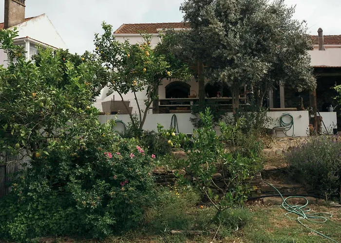 Breakfast Under A Tree - And Tomar