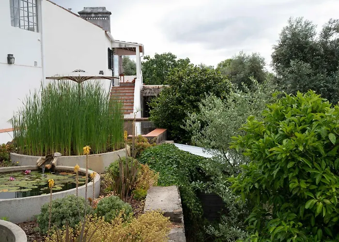 Breakfast Under A Tree - And