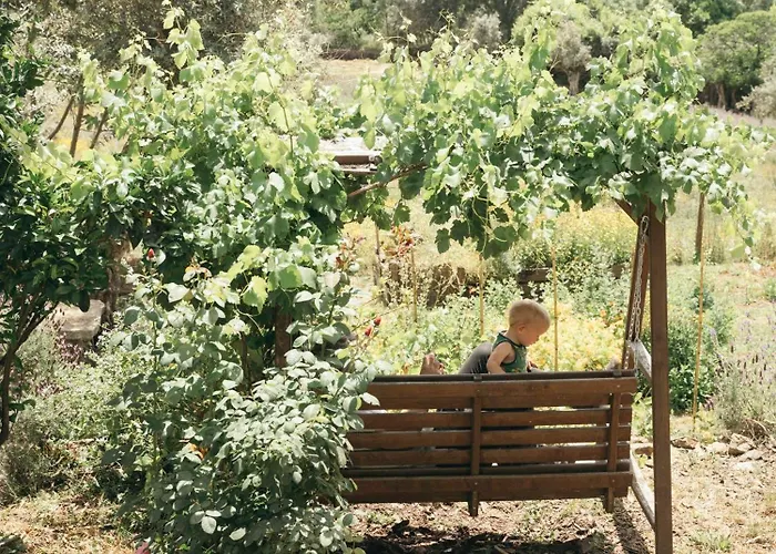 Apartamento Breakfast Under A Tree - And