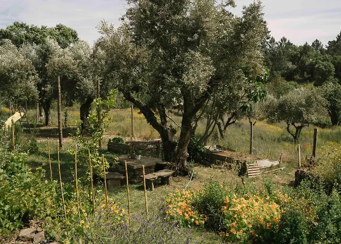Breakfast Under A Tree - And Διαμέρισμα *