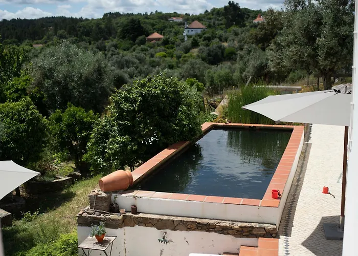 Breakfast Under A Tree - And Apartamento Tomar