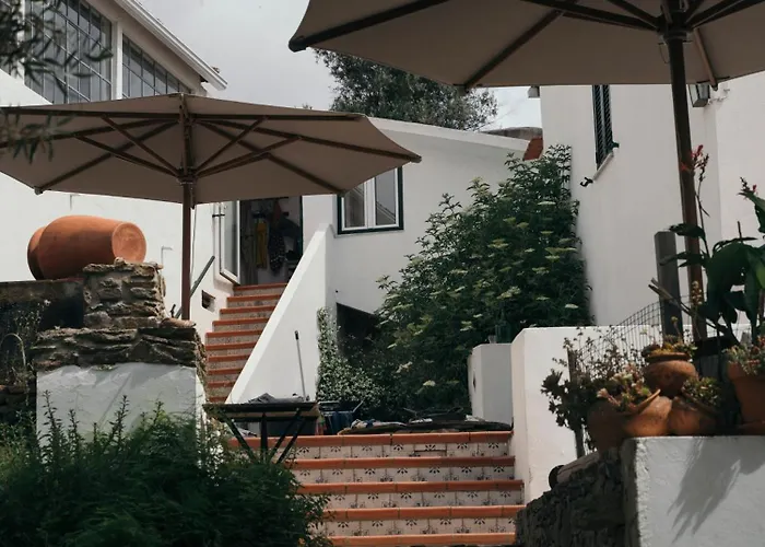 Breakfast Under A Tree - And *