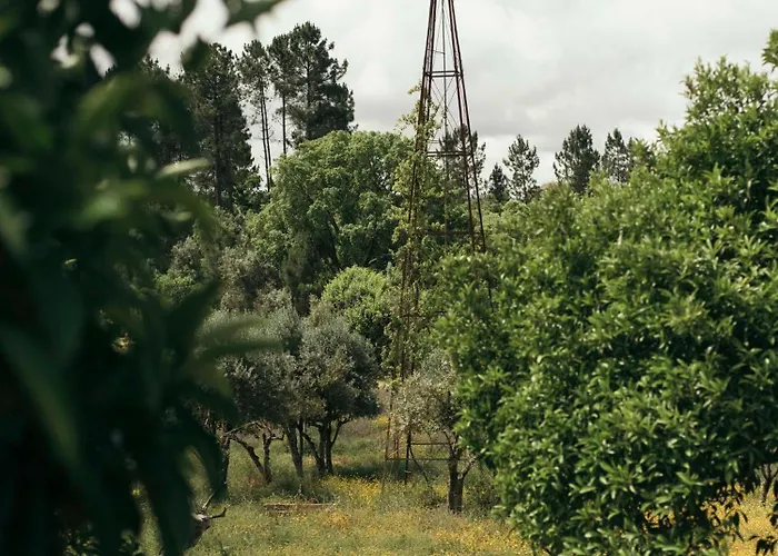 Breakfast Under A Tree - And Tomar