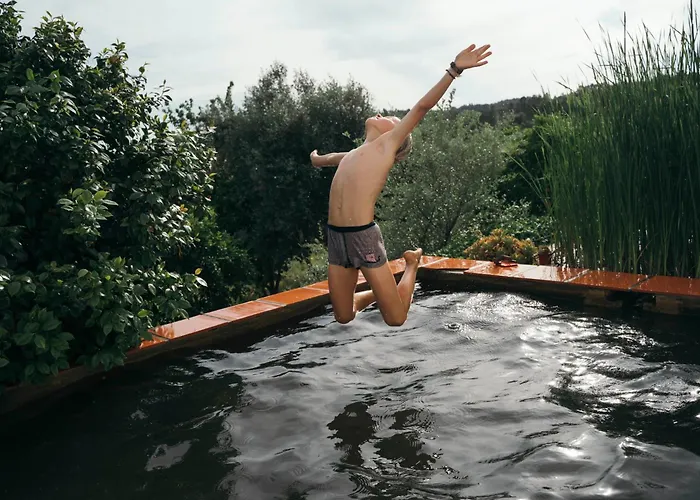 Breakfast Under A Tree - And * Tomar