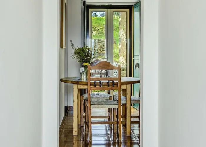 Apartamento Breakfast Under A Tree - And Tomar